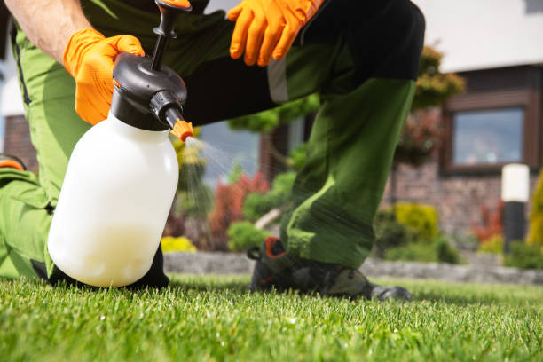 Best Wildlife Control Services  in Patrick Af, FL