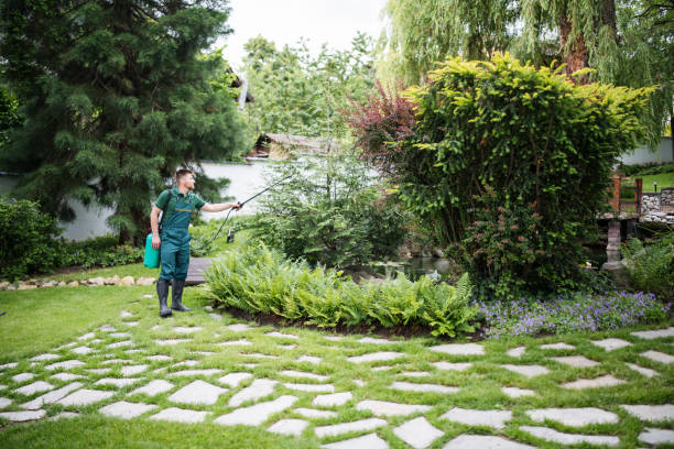 Best Affordable Pest Control Services  in Patrick Af, FL