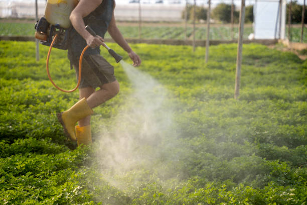 Best Commercial Pest Control Services  in Patrick Af, FL