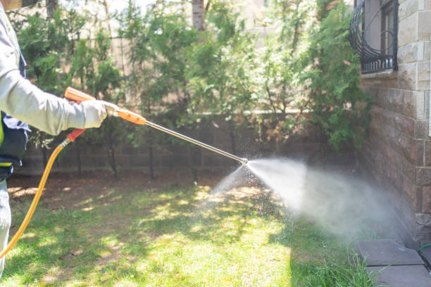 Best Best Pest Control Companies  in Patrick Af, FL
