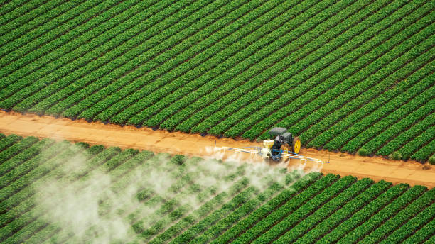 Best Pest Removal Services  in Patrick Af, FL