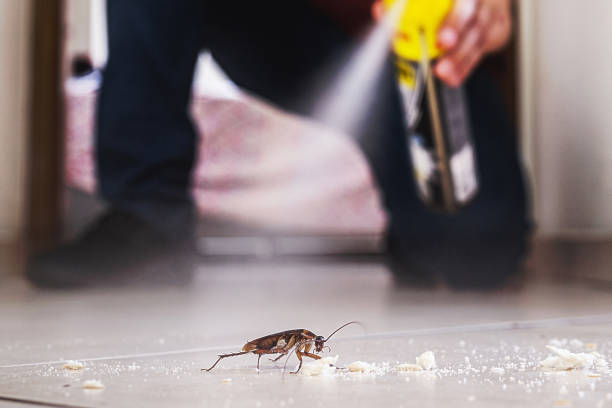 Best Pest Control Near Me in Patrick Af, FL