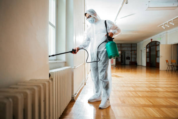 Best Affordable Pest Control Services  in Patrick Af, FL